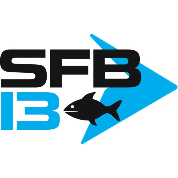 SFB13 POWERADE Thumbnail